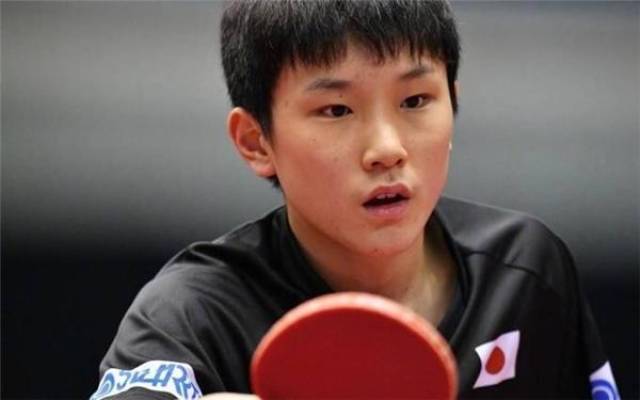 他们的发挥 他们的发挥